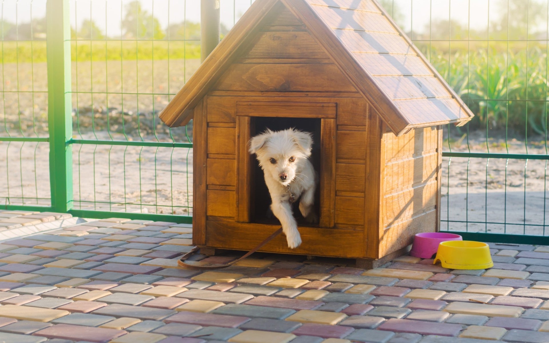 Diy kennel outdoor hotsell