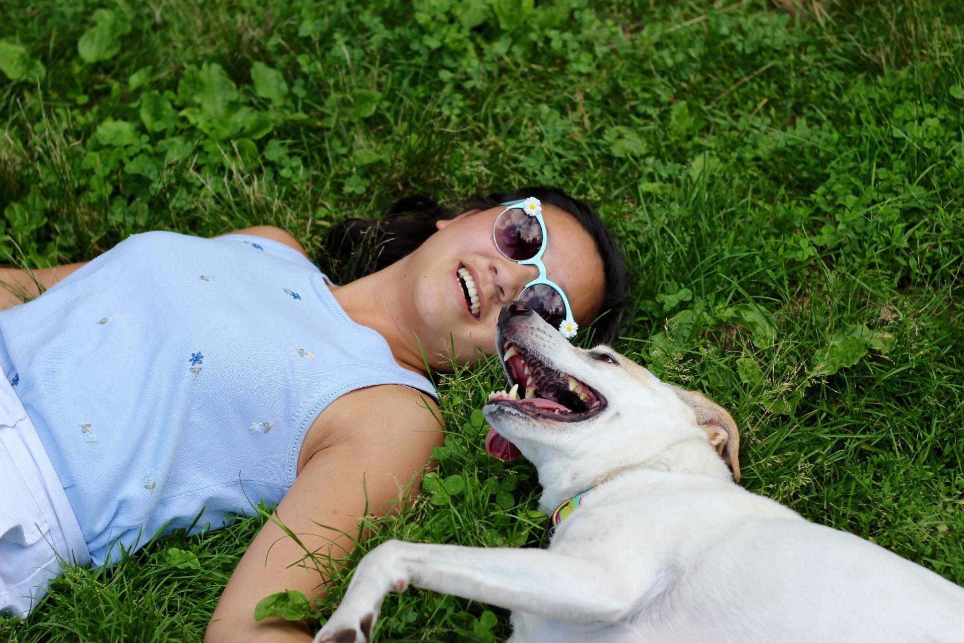 How to Show Your Dog Affection – Pet Appreciation Week