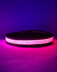 LED Dog Collar: Blue