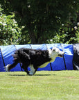 Basic Agility Equipment Set (3 Piece)