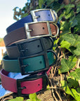 1 in Flat Collars *