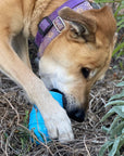 Ice Cream Cone Durable PUP-X Rubber Chew Toy and Treat Dispenser