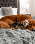 PupProtector™ Waterproof Throw Blanket - Charcoal Grey