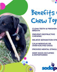 Durable Nylon Chew Stick for Power Chewers | Durable Dog Toy USA