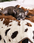 PupProtector™ Waterproof Throw Blanket - Brown Faux Cowhide
