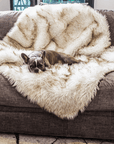 PupProtector™ Waterproof Throw Blanket - White with Brown Accents