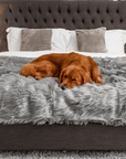 PupProtector™ Waterproof Throw Blanket - Charcoal Grey