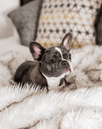 PupProtector™ Waterproof Throw Blanket - White with Brown Accents