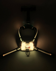 LED Dog Harness
