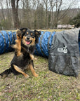 Heavy Duty PVC Tunnel with Sandbags (10 ft)