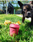 Coffee Cup Durable Rubber Chew Toy and Treat Dispenser