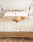 PupProtector™ Waterproof Throw Blanket - White with Brown Accents