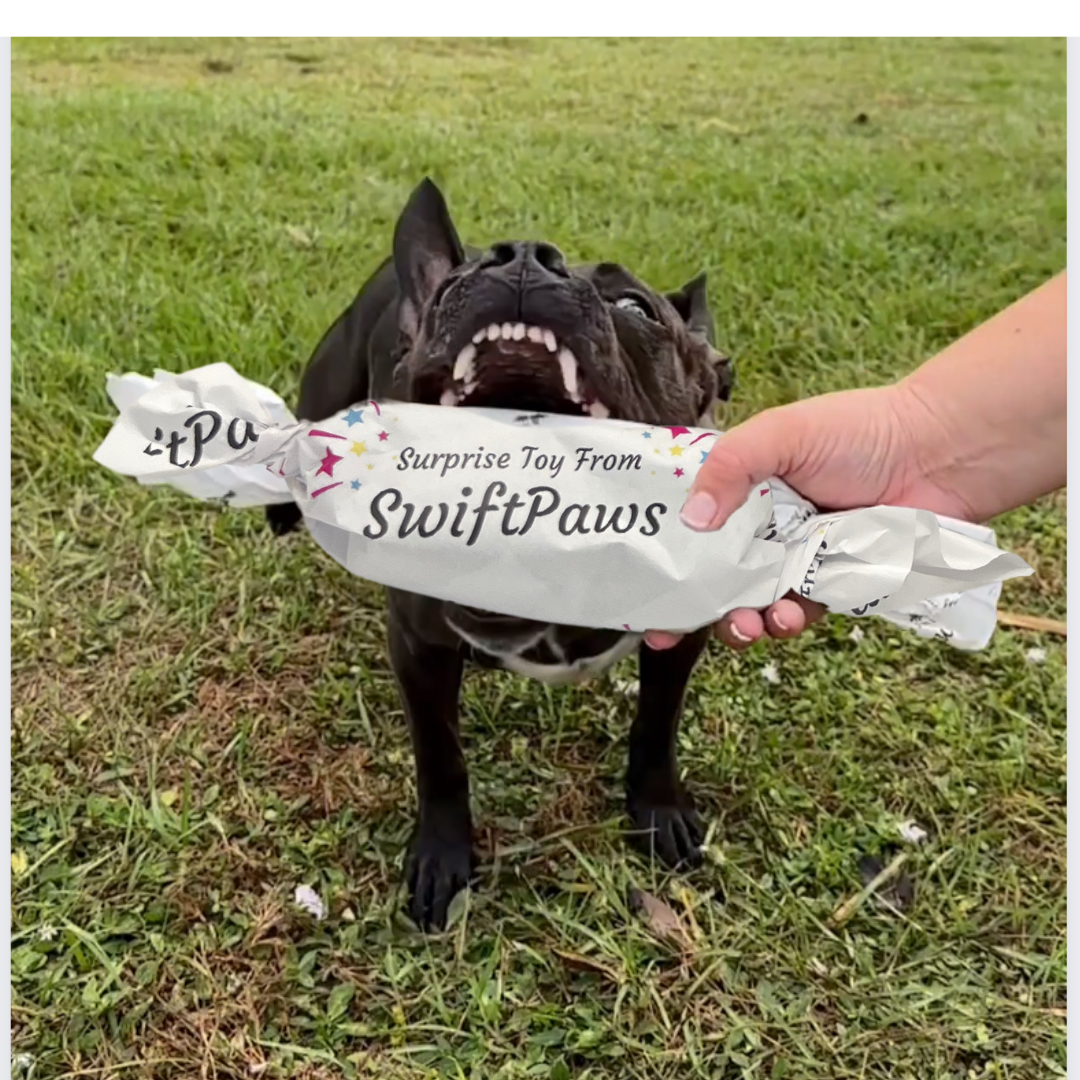 Surprise Toy