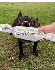 Surprise Toy