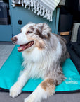 Non-Slip Settle Mat: Grip backing