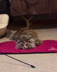 Non-Slip Settle Mat: Grip backing