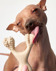 BetterBone MEDIUM Durability CHEW TOY: Perfect Chew for Everyday Chewers | Natural, Eco-Friendly, Non-Toxic