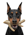 Ever Antler Nylon Chew Bone | Elk Antler Shaped Dog Toy for Aggressive Chewers | SodaPup