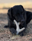Ever Antler Nylon Chew Bone | Elk Antler Shaped Dog Toy for Aggressive Chewers | SodaPup
