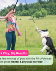 Flirt Pole