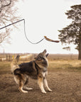 Flirt Pole + Critter Pack Bundle