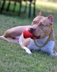 Coffee Cup Durable Rubber Chew Toy and Treat Dispenser