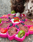 Mandala eTray Shallow Slow Feeder Dog Bowl for Enrichment | USA Made