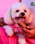 Strawberry Cheese Chews for Dogs