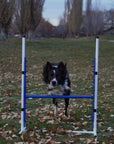 Adjustable Agility Jumps (Bar Jumps)