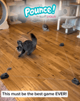 Pounce! Kit