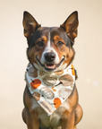 Pumpkin Dog Bandana