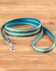 Classic Dog Leash 1/2''