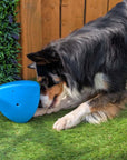 Roolo Enrichment Bopping Ball