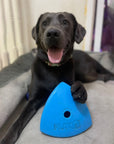 Roolo Enrichment Bopping Ball