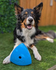 Roolo Enrichment Bopping Ball