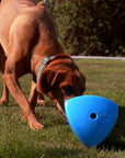 Roolo Enrichment Bopping Ball