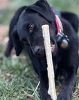 Durable Nylon Chew Stick for Power Chewers | Durable Dog Toy USA