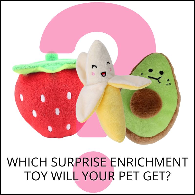 Surprise Toy