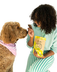 Turkey Jerky
