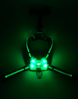 LED Dog Harness