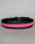 LED Dog Collar: Green