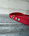 BioThane® Eurolead 8-Way Leash | Multi-Functional Hands-Free Leash *