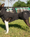 All Weather Dog Coat