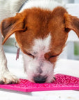 Flower Power emat - Enrichment Lick Mat for Dogs and Cats | Flower Design | USA Made