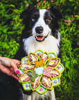 Mandala eTray Shallow Slow Feeder Dog Bowl for Enrichment | USA Made