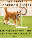 Basic Agility Equipment Set (7 Piece)