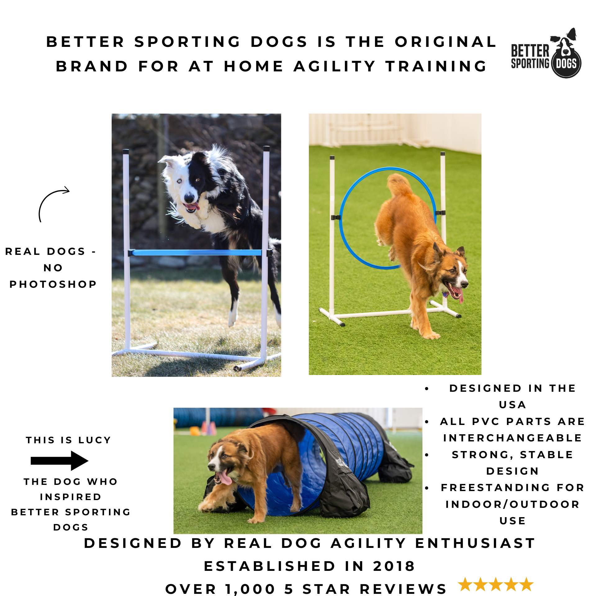 Basic Agility Equipment Set (7 Piece)