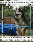 Adjustable Agility Jumps (Bar Jumps)