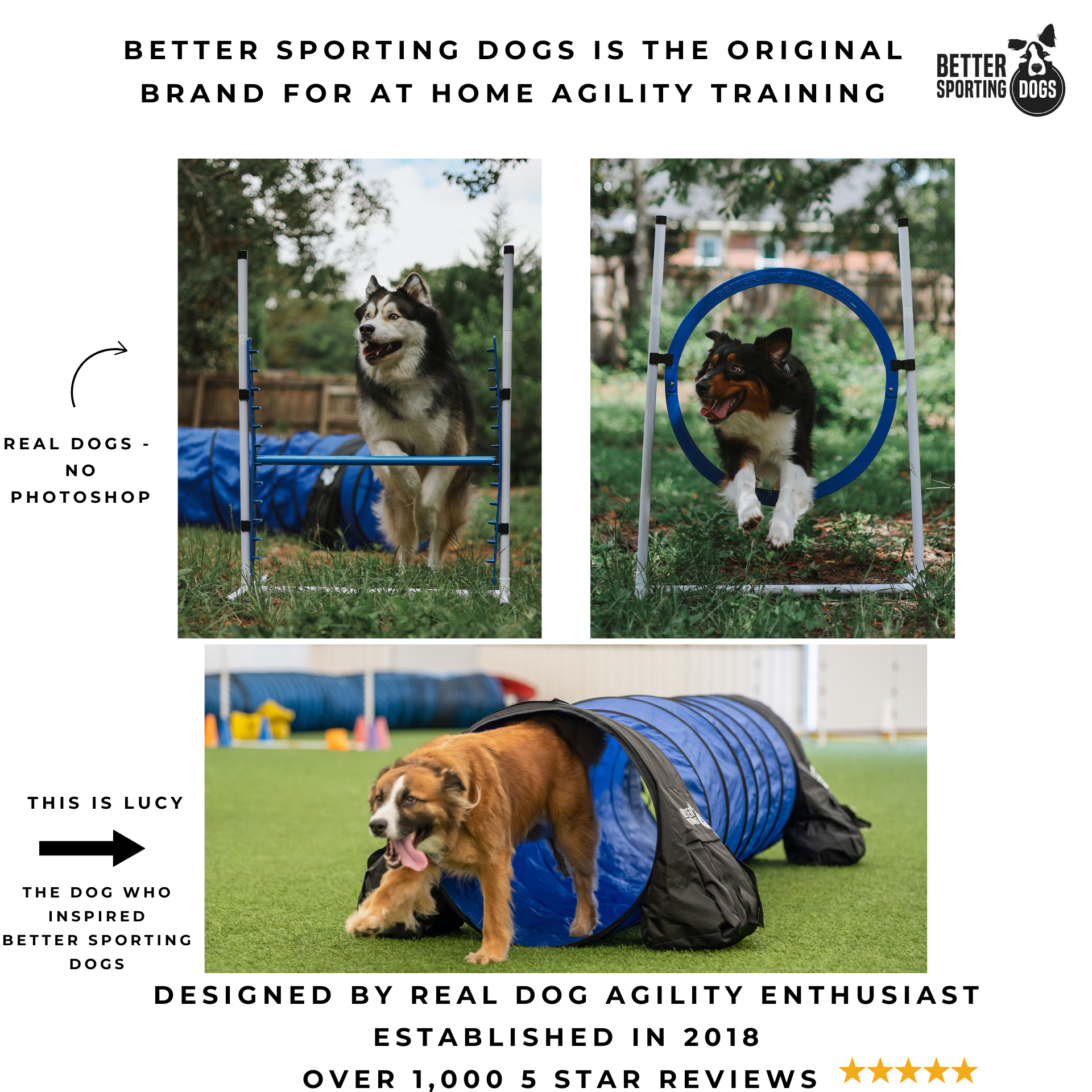 Upgraded Agility Equipment Set (5 Piece)