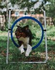 Adjustable Agility Jumps (Bar + Tire Jumps)